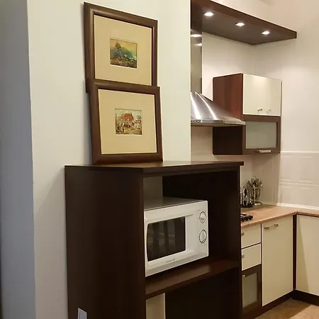 Apartament 4rooms Nezavisimosti 12 *